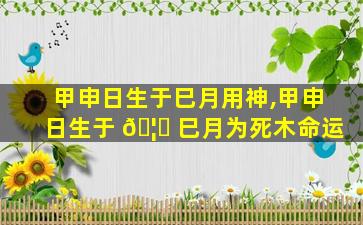 甲申日生于巳月用神,甲申日生于 🦈 巳月为死木命运